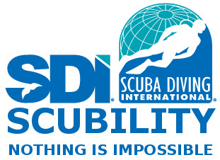 sdiscubility logo v0.01 transparent